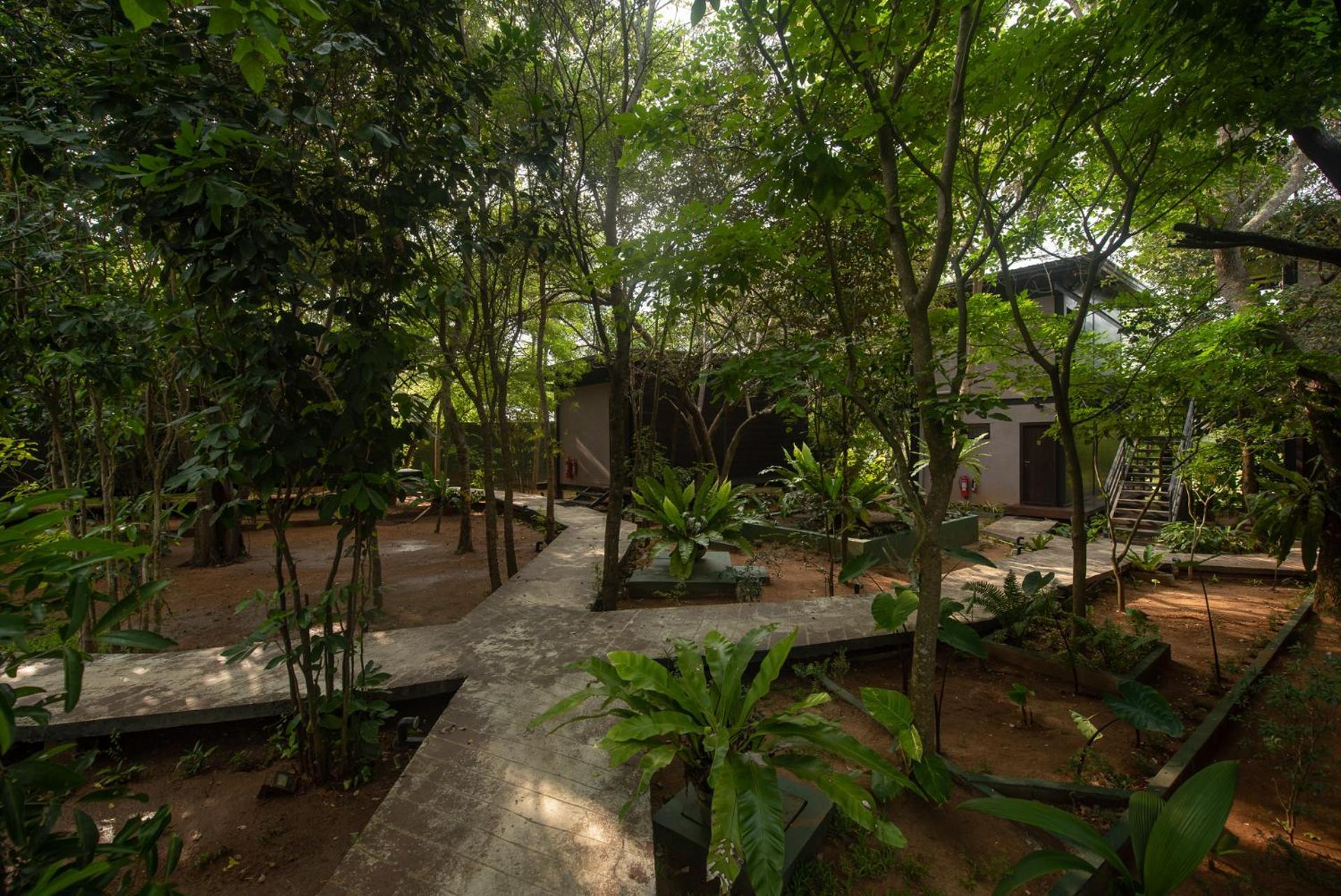Atha Sigiriya